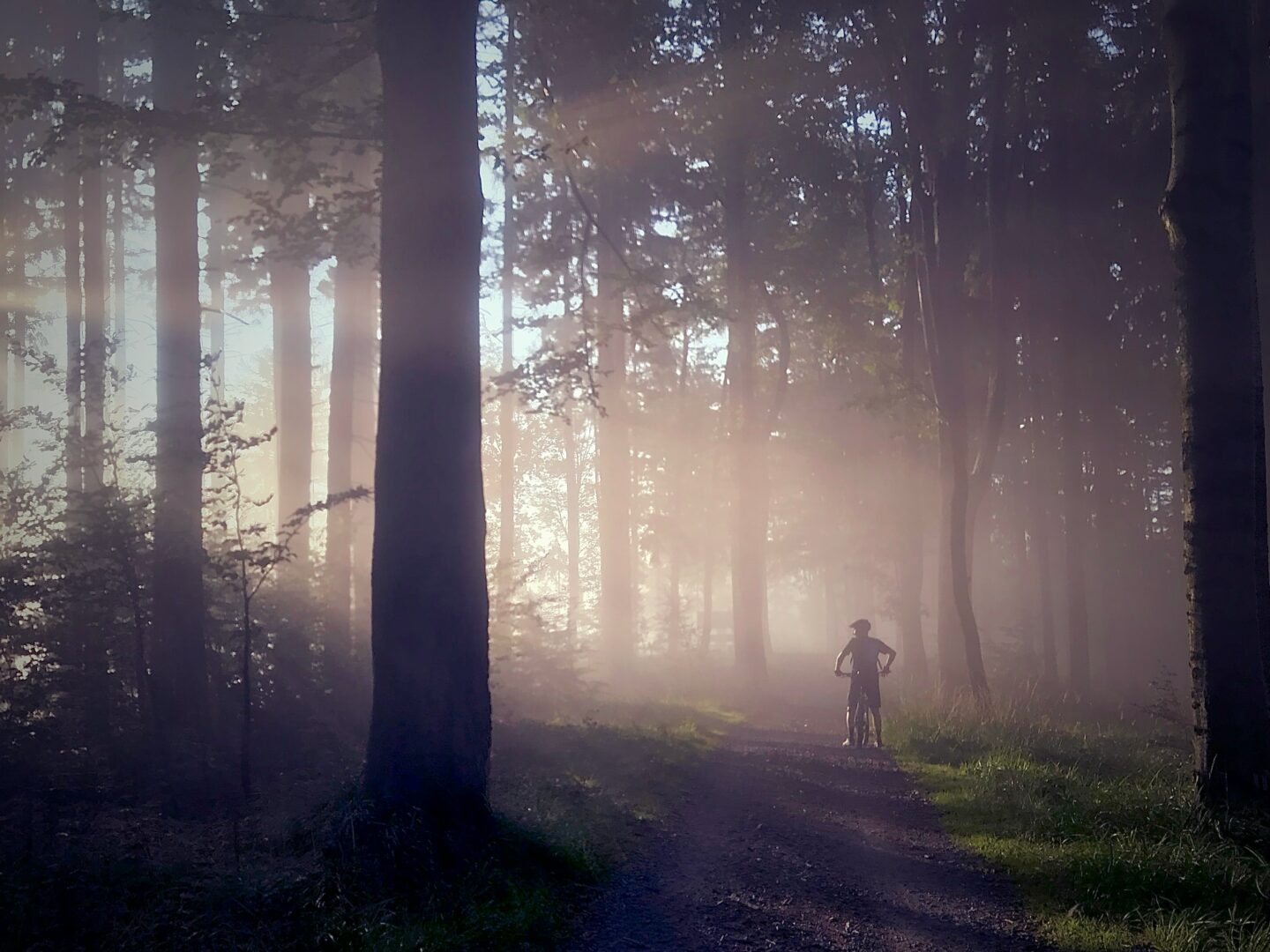 Mountainbike Tourentag / Tretmühle & Pfadlinig Racingteam